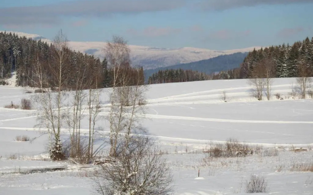 Ferienwohnungen Holzferienhäuser Leithenwald