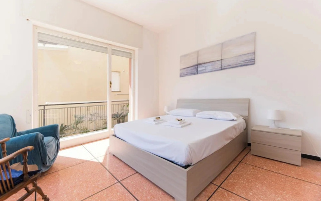 Pesto Home Holiday