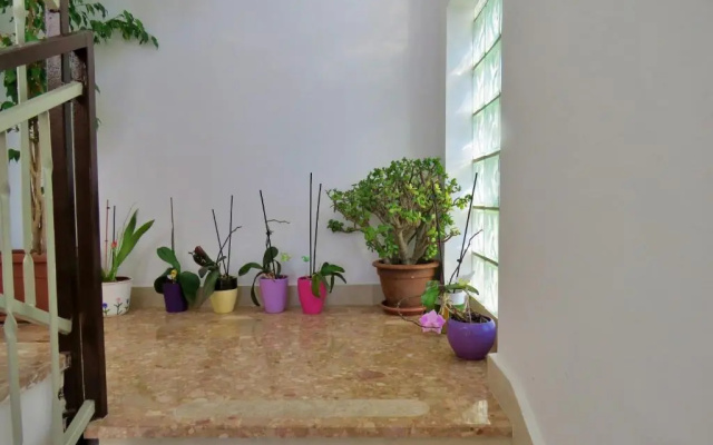 Apartment Nemira