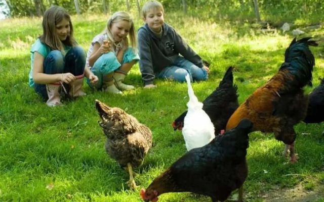 Kinderparadies Habernberger Hof