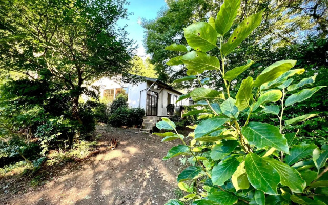 Kiyo's Gokokuen "Tatsumado" - Vacation STAY 26825v