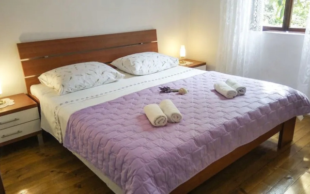Apartments Franica