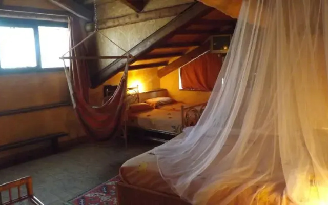 B&B Edera