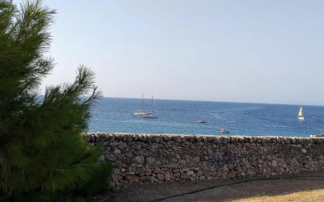 Trullammare
