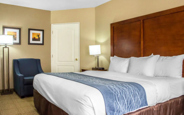 Comfort Inn & Suites At Talavi