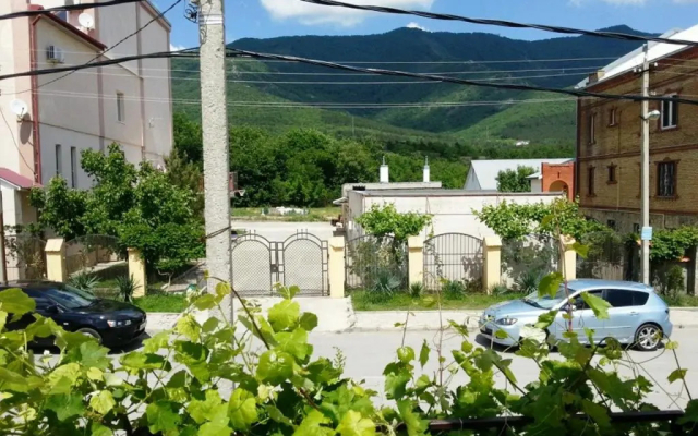 Guest house Shokolad