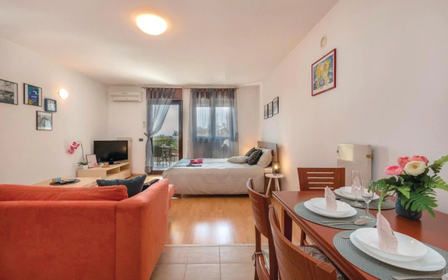 Nice Apartment in Liznjan With Wifi