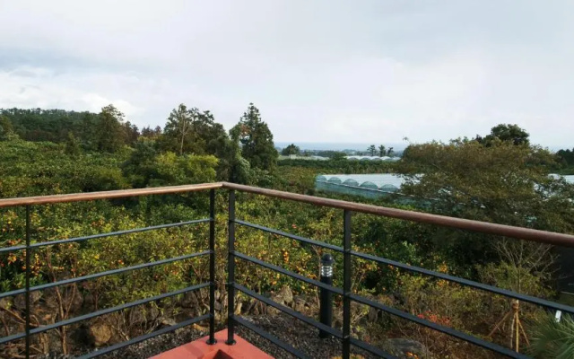 Oasis Pension