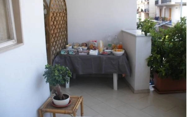B&B Paluada
