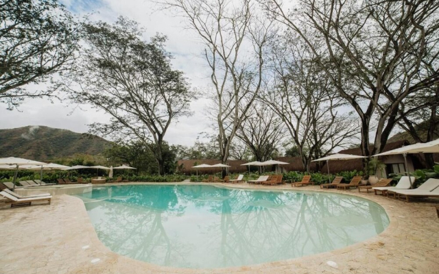 Holistic EcoHotel