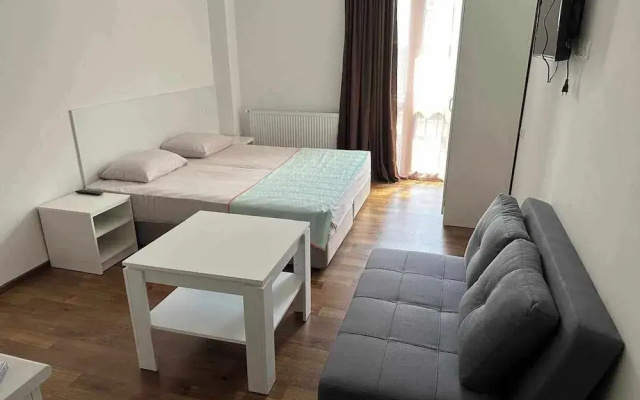 Bakuriani Apartment Studio