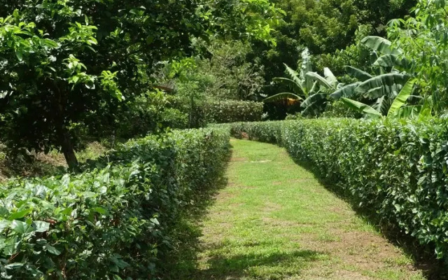 Villa El Tucán