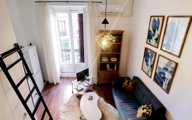 Apartamentos MLR Lavapiés