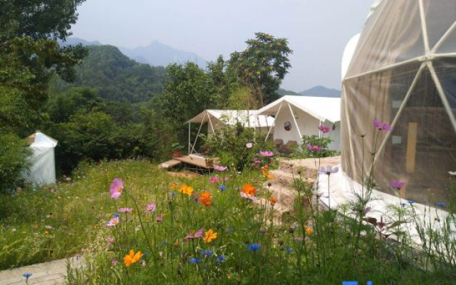 Song Wild Luxury Tent Homestay