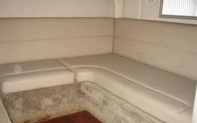 Freedom Boat in Lavagna Marine
