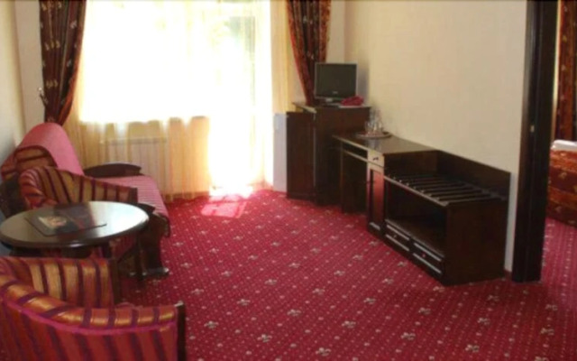 Hotel Solotvyno Resort