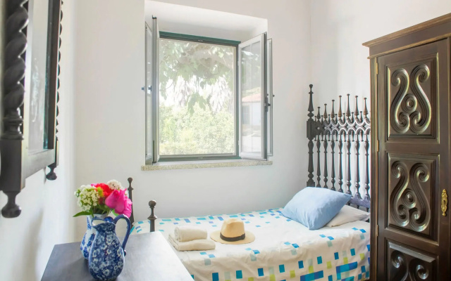 Farmhouse Dreams: Explore and Relax