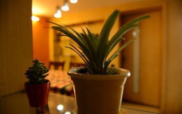 Отель Chengdu Bu'er Youth Hostel Китай, Чэнду - отзывы, цены и фото номеров - забронировать отель Chengdu Bu'er Youth Hostel онлайн интерьер отеля