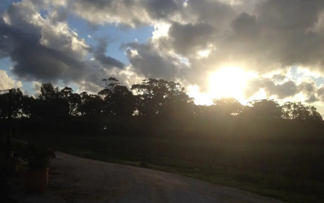 Mt Surmon Wines/Scarlattis Gallery/The Retreat