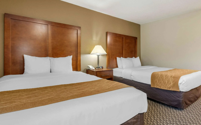 Comfort Inn Indianapolis South