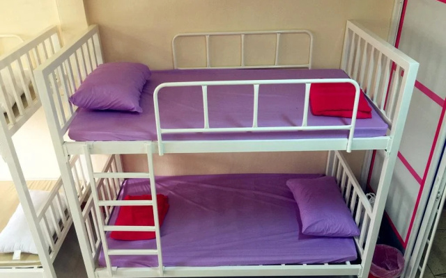 Small Elephant Hostel