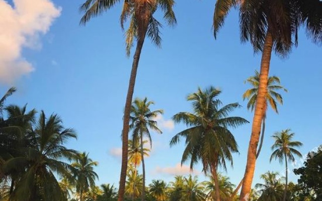 Отель Sunset Stay Maldives