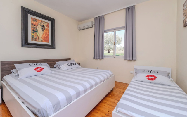 Apartment Iva