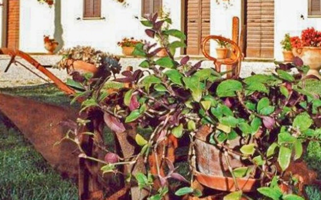 The Ivy Apartment in a Farmhouse
