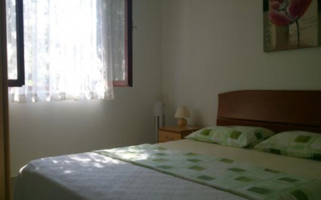 Apartment Mis - apartments close to sea: A1 Petrcane, Zadar riviera
