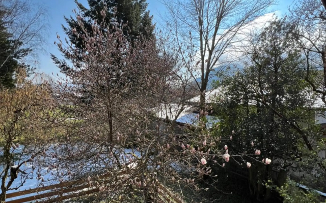 Zur Rose