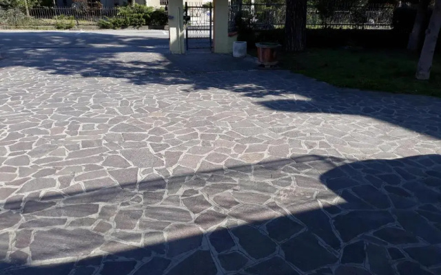 Dalla Maria