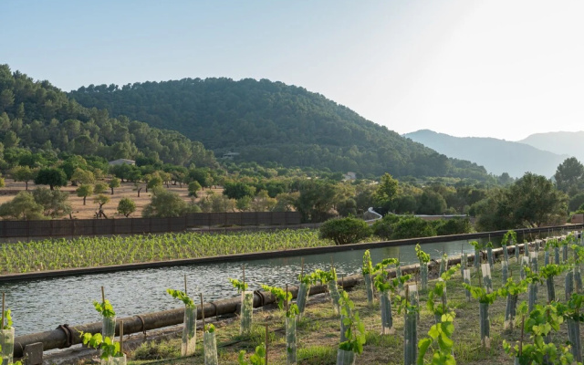 Rondaia Boutique Vineyard Stay – Mallorca, Tramuntana