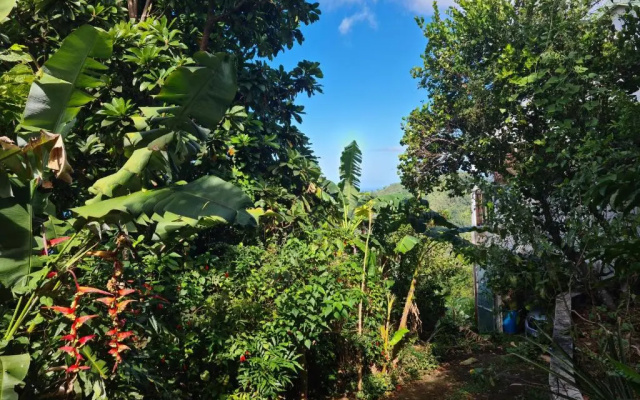 Peaceful House