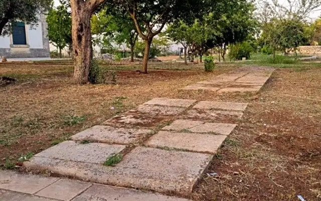 Piccola Miryam