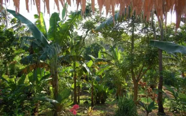 Lakatoro Palm Lodge