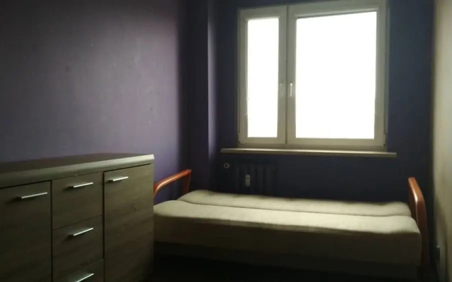 Penguin Rooms Kielce - Romualda Street