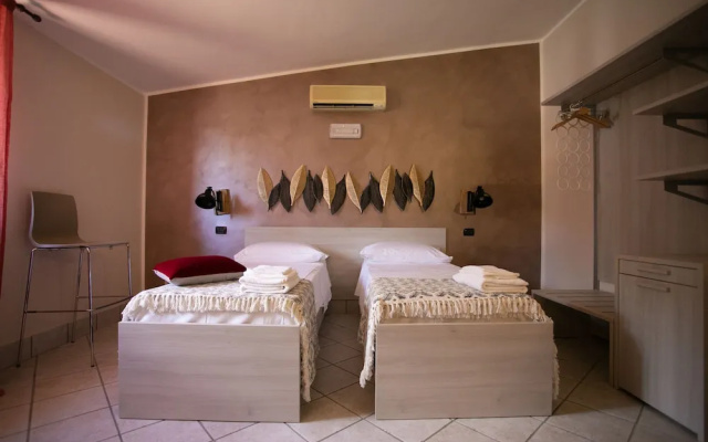 B&B Trepo