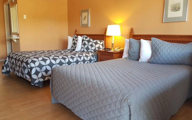 Island View Lodge