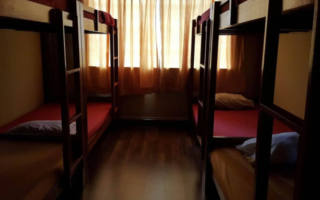 X-Plorer Backpackers - Hostel