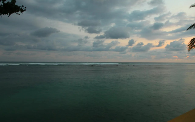 Reef Edge