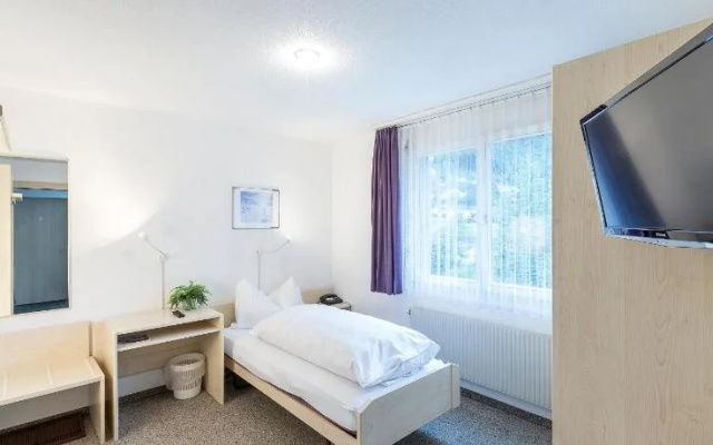 Hotel Alpina