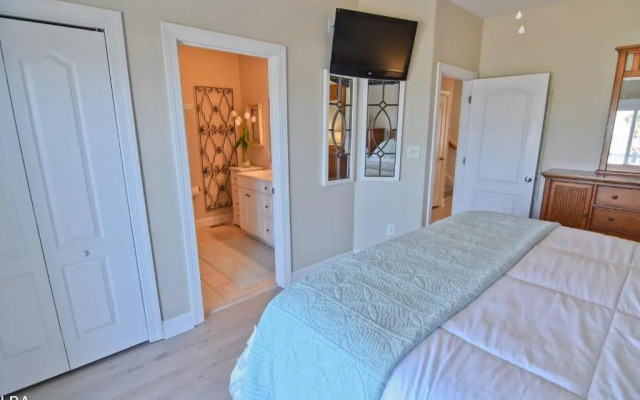 Sea Star 308