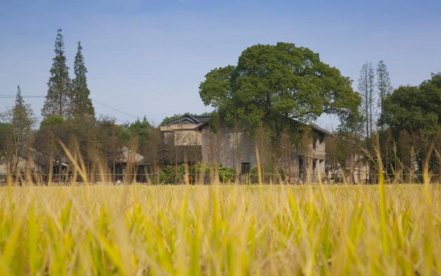 Wuzhen Wu Cun