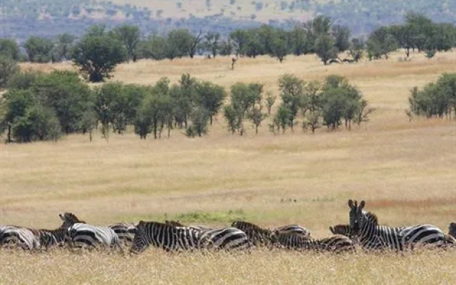 Lemala Mara Camp