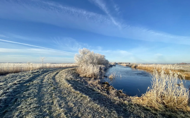 Chalet in Friesland Near Alde Feanen Park