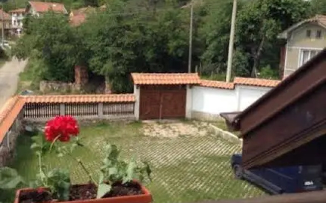 Zelenigrad Guest House
