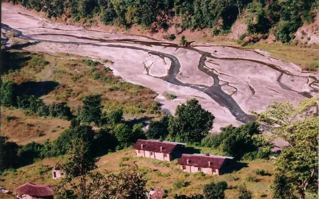 Wild Brook
