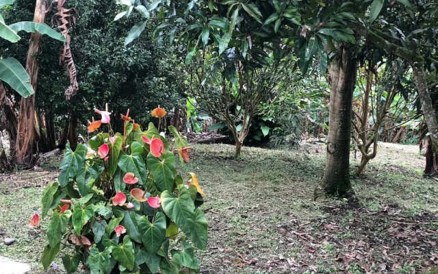 Santa Maria Bed and Breakfast