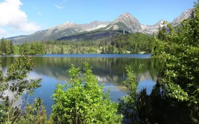 Strbske Pleso Smrek Penthouse Apartment