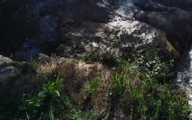 les pieds dans l'eau